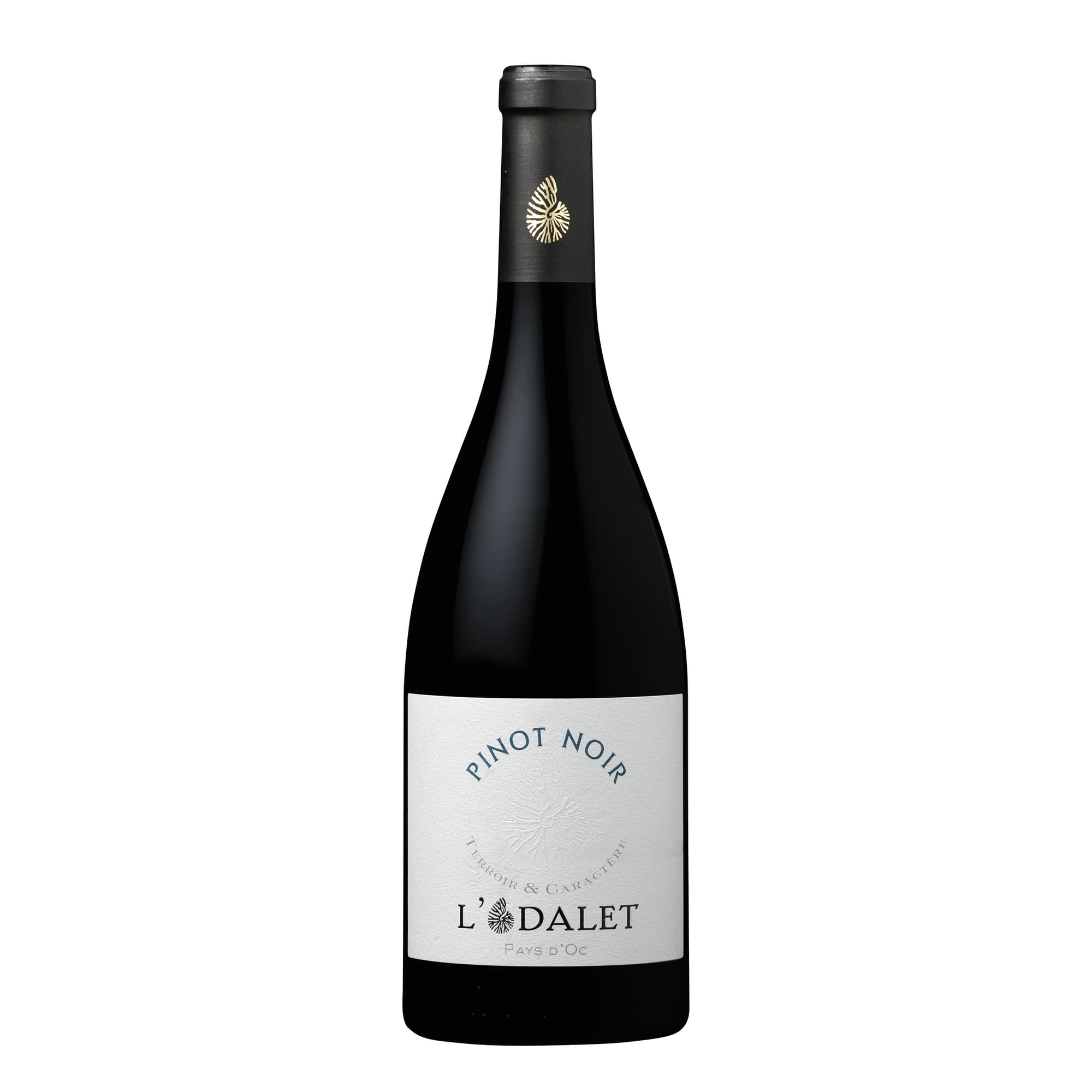L ODALET PINOT NOIR PAYS D OC IGP 25 12,5% 75CL_0
